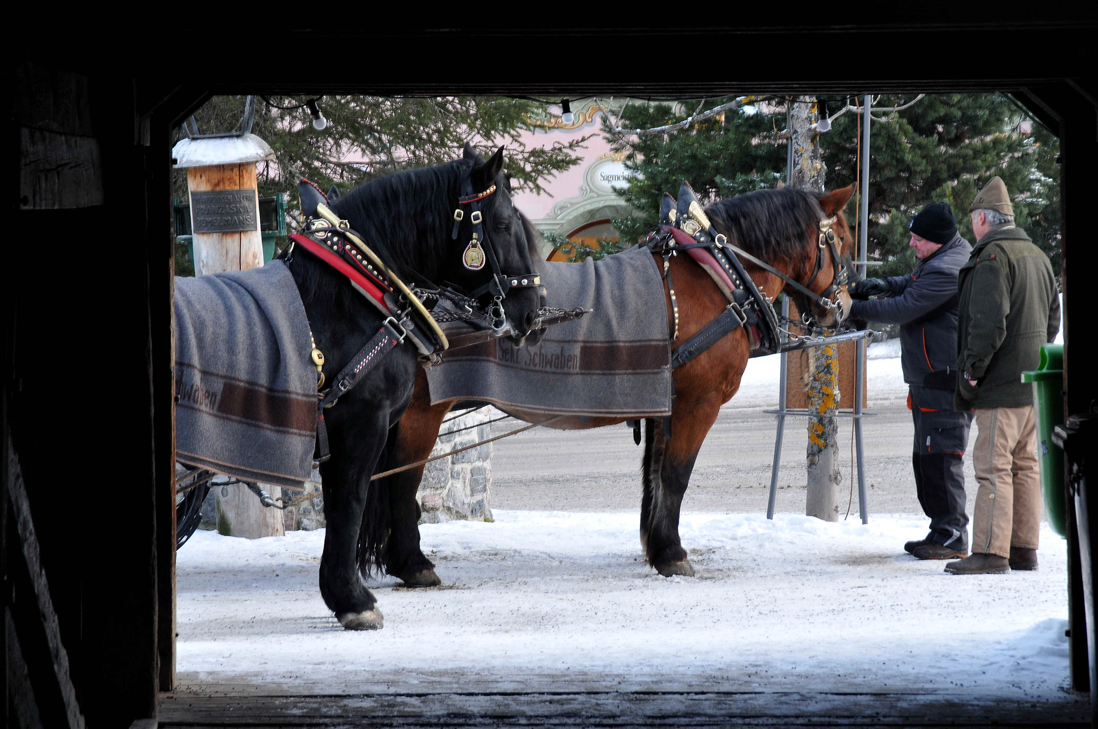 Family ski holidays in Lech - horsedrawn sleigh