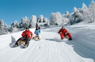 Best toboggan runs in the Alps