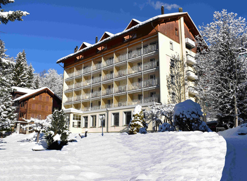 Hotel Wengenerhof ski hotel in Wengen