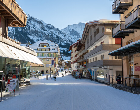 Wengen ski resort guide